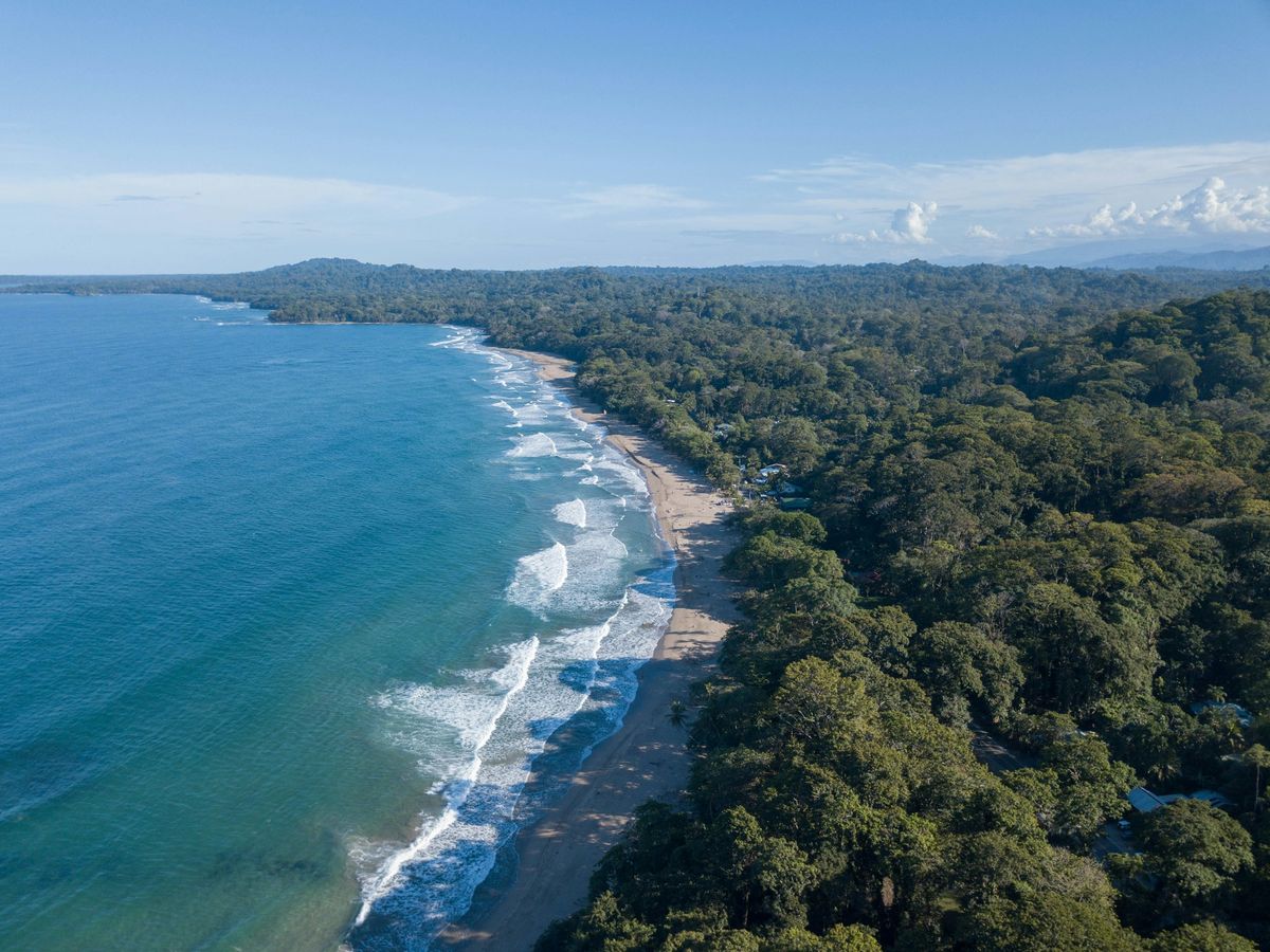 A beach backed by rainforest on the southern Caribbean coast, seen from above