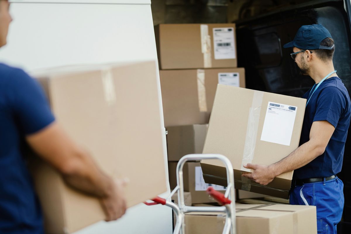 Two movers carrying cardboard boxes from a van